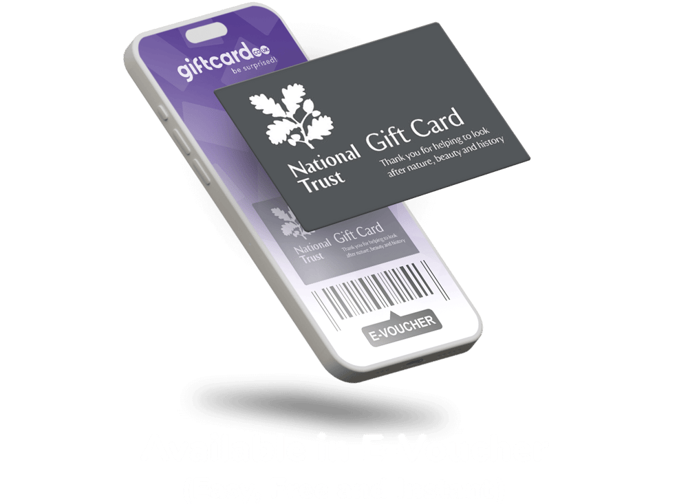 evoucher