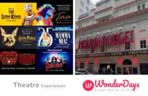 Theatre Experience by WonderDays Gift Card