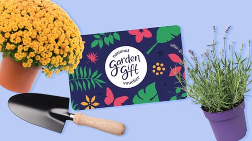 The National Garden Gift Card: Where to buy?
